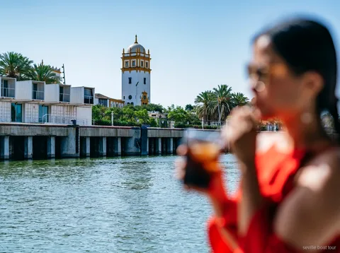 Vue de la Plaza de Toros de la Maestranza depuis la croisière sur le Guadalquivir