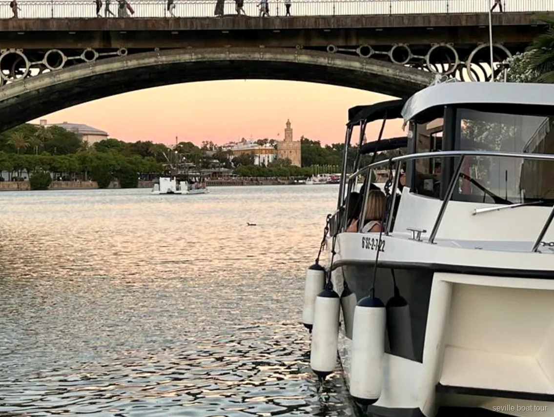 Private boat option on the Guided Guadalquivir Boat Tour sailing past Triana